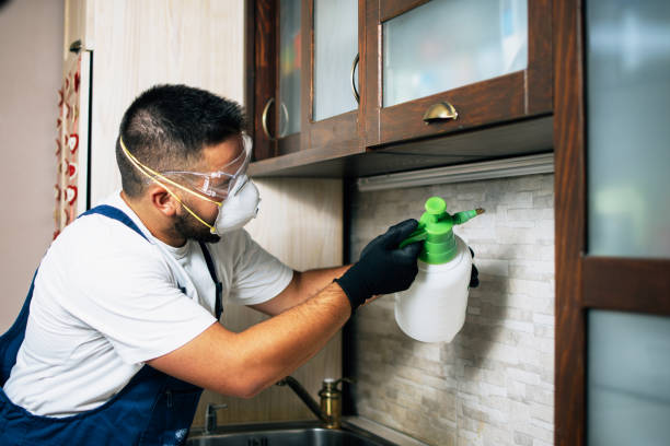 Wasp Removal Services in Sardis, MS