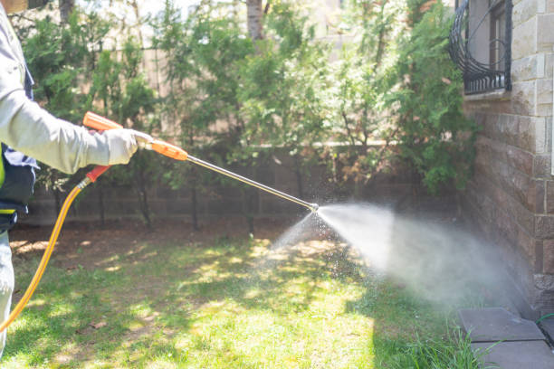 Best Emergency Pest Control  in Sardis, MS