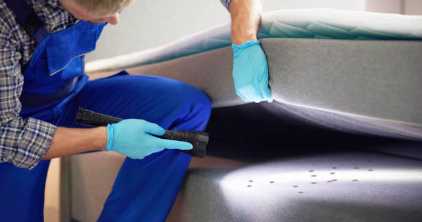 Best Mosquito Control Services  in Sardis, MS