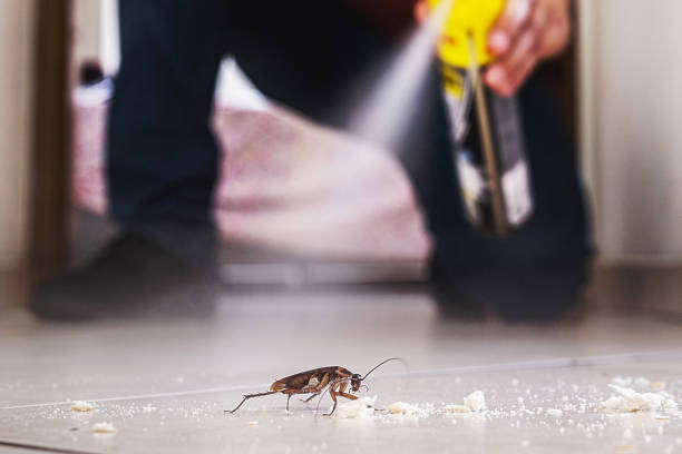 Trusted Sardis, MS Pest Control Experts